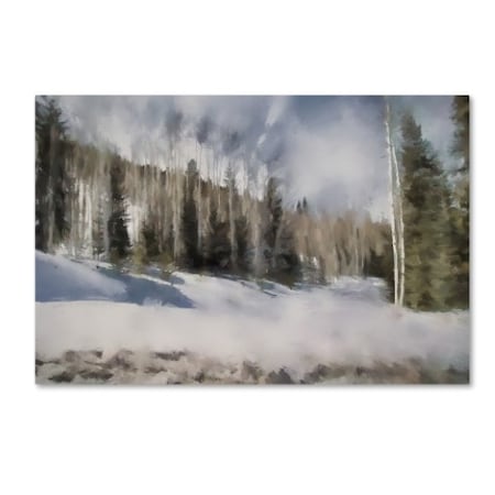 Jai Johnson 'Winter Impressions In Colorado 9' Canvas Art,12x19